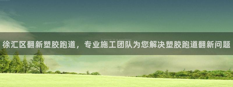 44814红足：徐汇区翻新塑胶跑道，专业施工团队为您解决塑胶跑道翻新问题