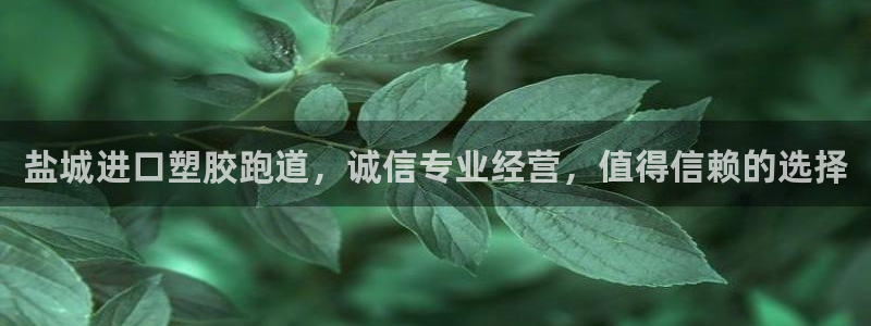 红足一1世77814：盐城进口塑胶跑道，诚信专业经营，值得信赖的选择