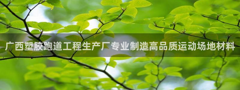 红足i世足球手机网：广西塑胶跑道工程生产厂专业制造高品质运动场地材料