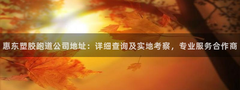 777814红·足一世比分：惠东塑胶跑道公司地址：详细查询及实地考察，专业服务合作商