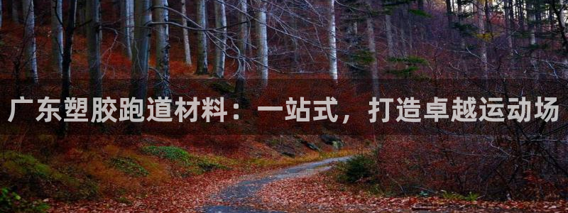 红足1世开奖预测：广东塑胶跑道材料：一站式，打造卓越运动场