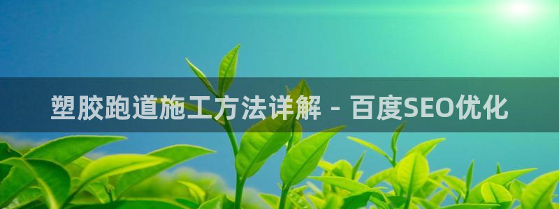 百度红足一1使用说明：塑胶跑道施工方法详解 - 百度SEO优化