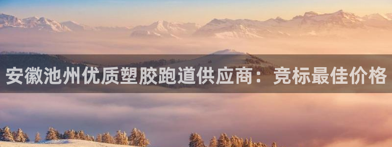 红足1世足球网址大全：安徽池州优质塑胶跑道供应商：竞标最佳价格