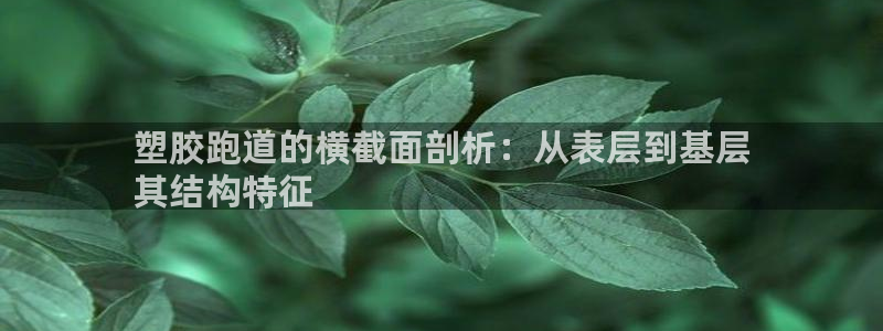 333814红足1世：塑胶跑道的横截面剖析：从表层到基层
其结构特征