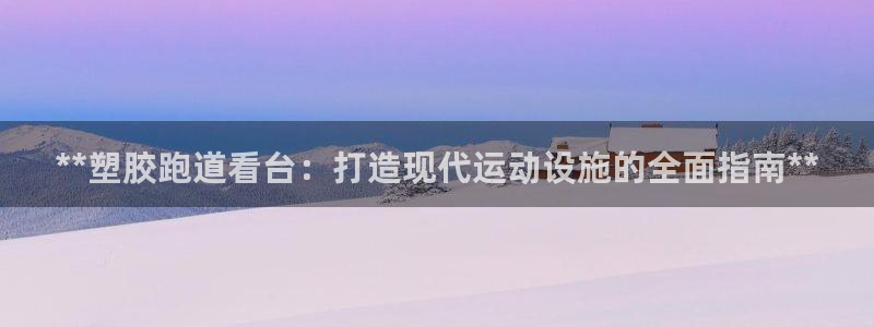 红足1世手机板：**塑胶跑道看台：打造现代运动设施的全面指南**